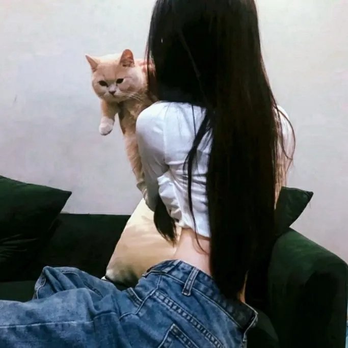 九一一事件簿